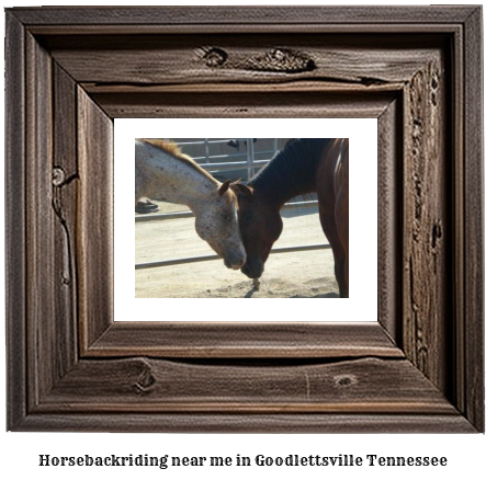 horseback riding near me in Goodlettsville, Tennessee